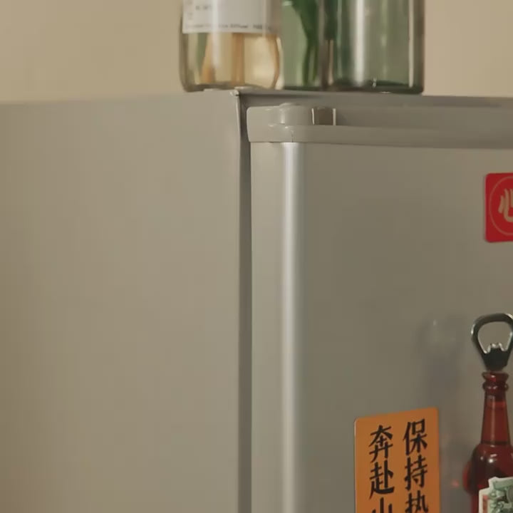 Refrigerator Door Lock